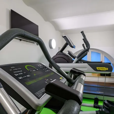 Ibis Styles Τρίερ